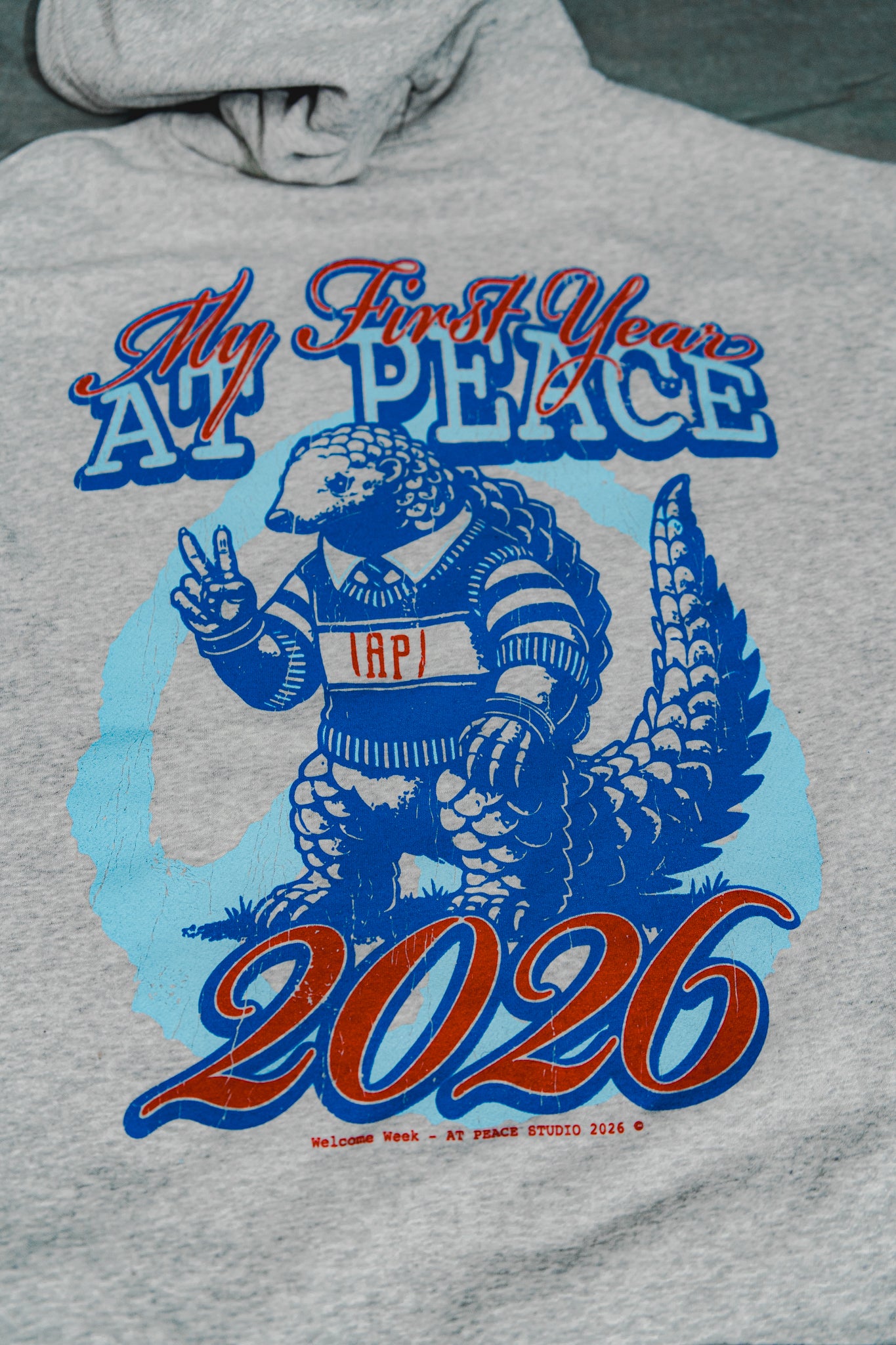 “My First Year At Peace” Hoodie