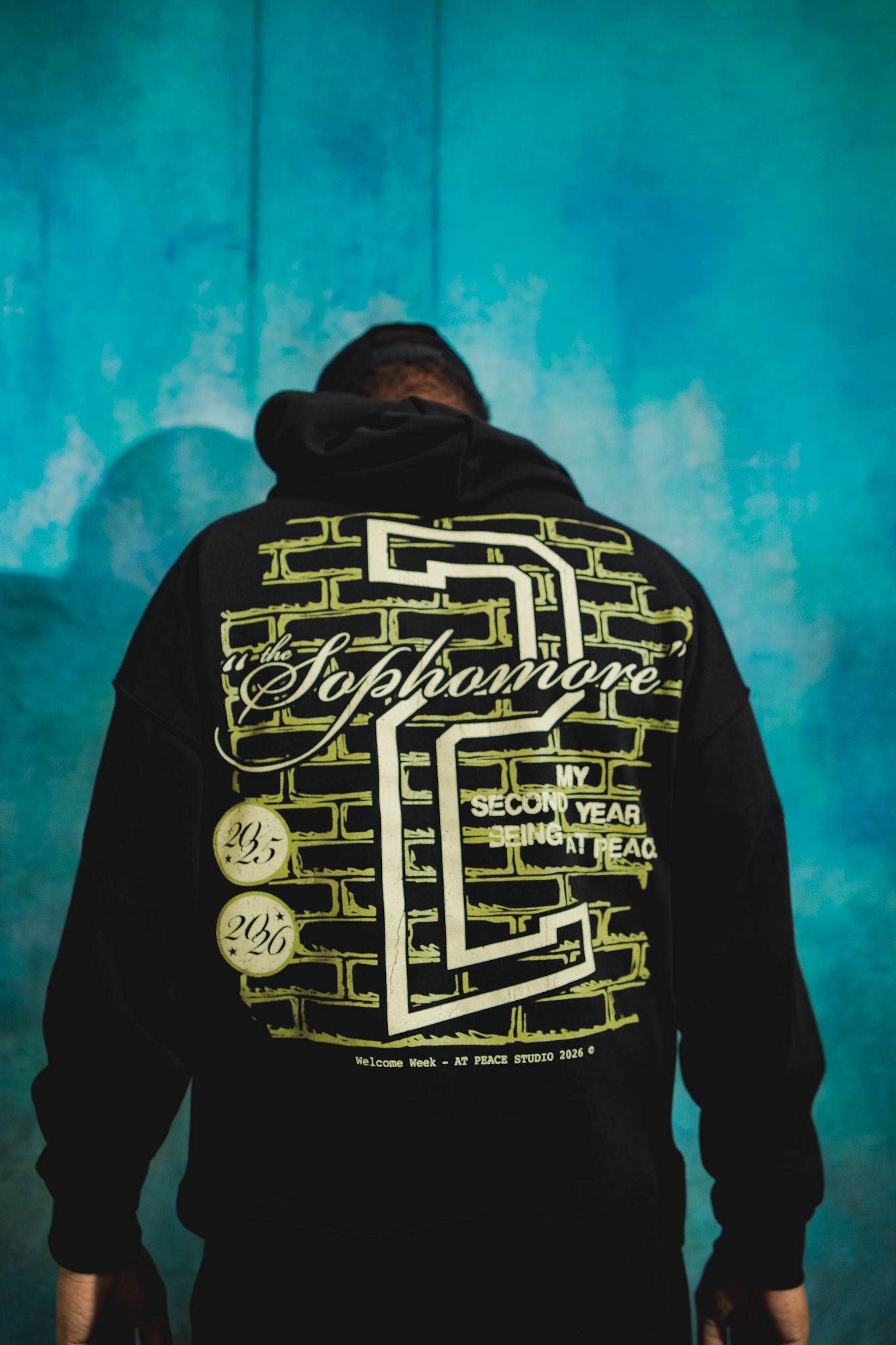 “Sophomore Year” Hoodie