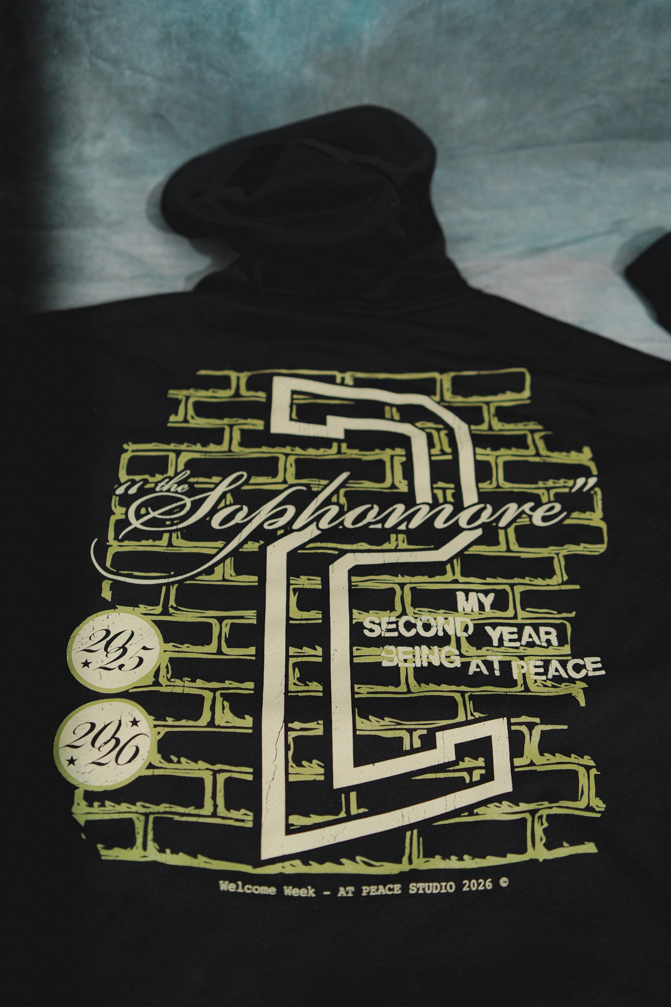 “Sophomore Year” Hoodie