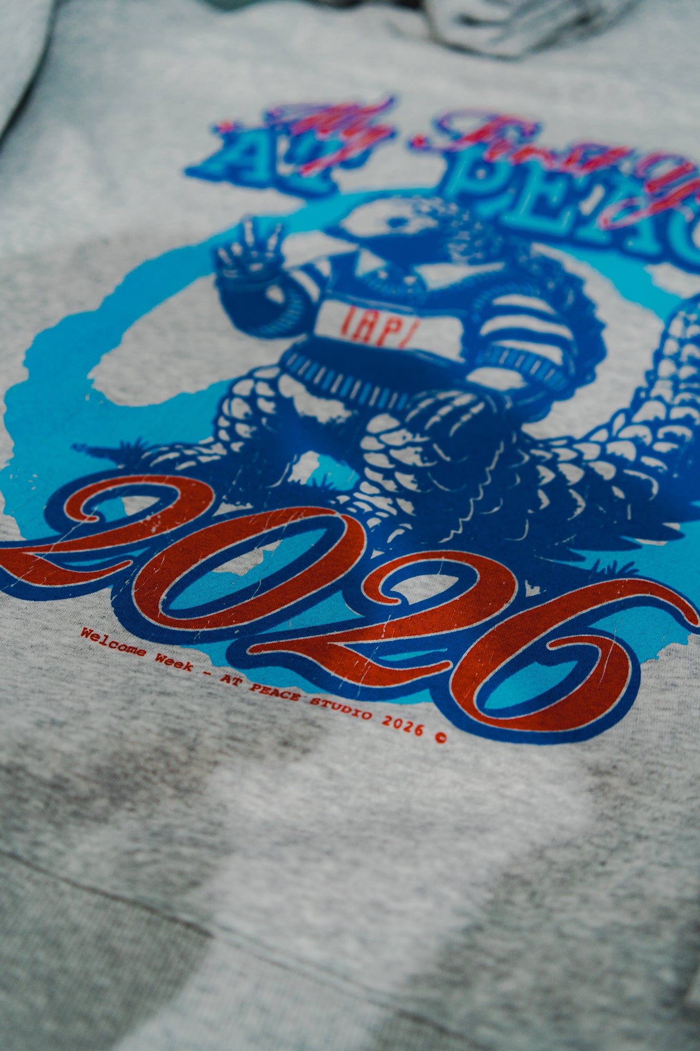 “My First Year At Peace” Hoodie