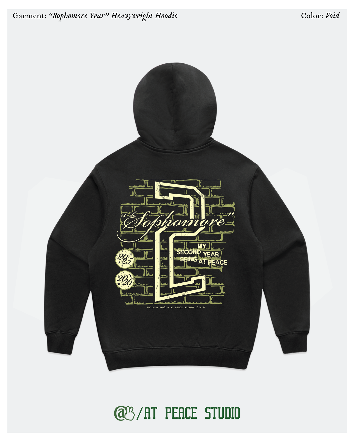 “Sophomore Year” Hoodie